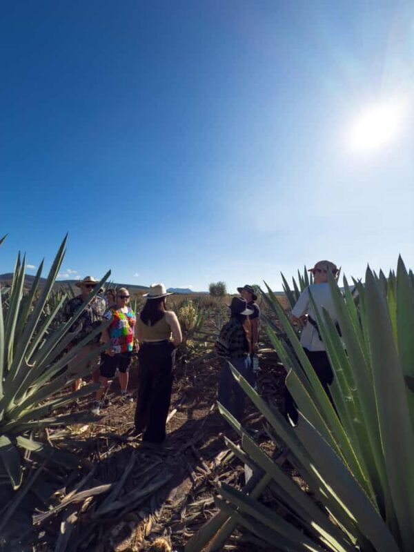 Mezcal, Agave, and Pulque Tour in Oaxaca - FAQ
