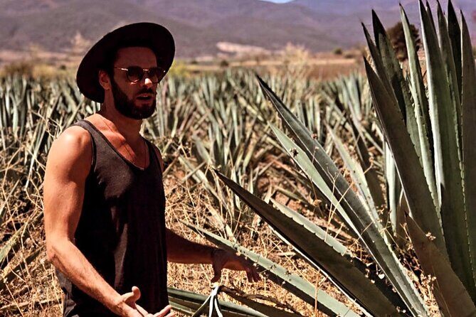 Mezcal Artisan Tasting with Tapas in Tulum - Frequently Asked Questions