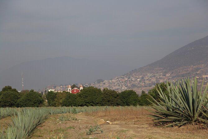 Mezcal Culture Cycling Tour in a Zapotec Village - Practical Details