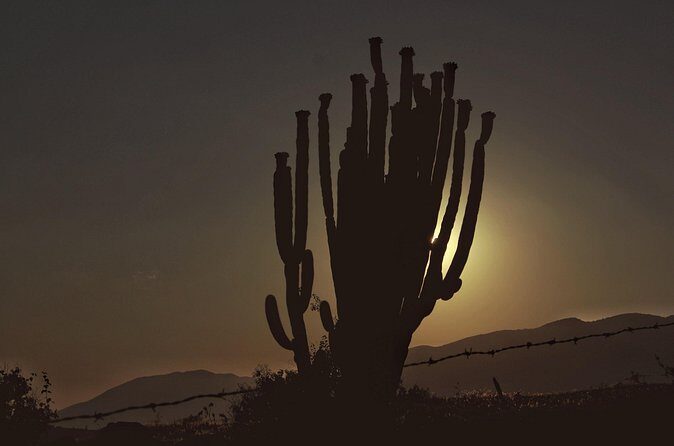 Mezcal Culture Cycling Tour in a Zapotec Village - The Sum Up