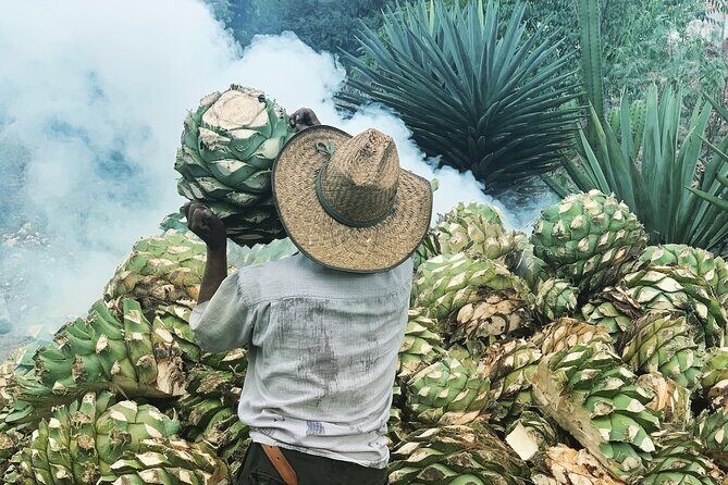 Mezcal Day Experience - An In-Depth Look at the Oaxaca Mezcal Day Experience
