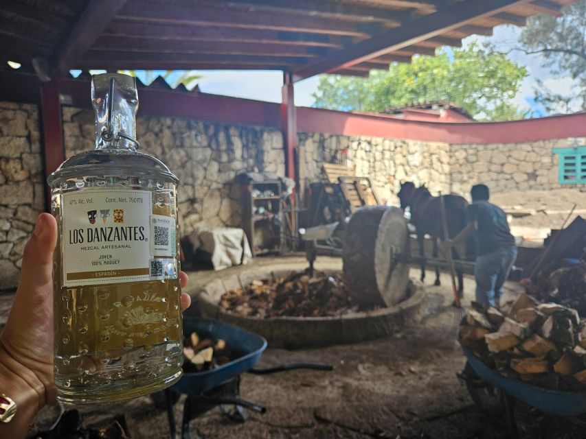 Mezcal Day Premium Family Distilleries Tour With Lunch - Transportation and Itinerary