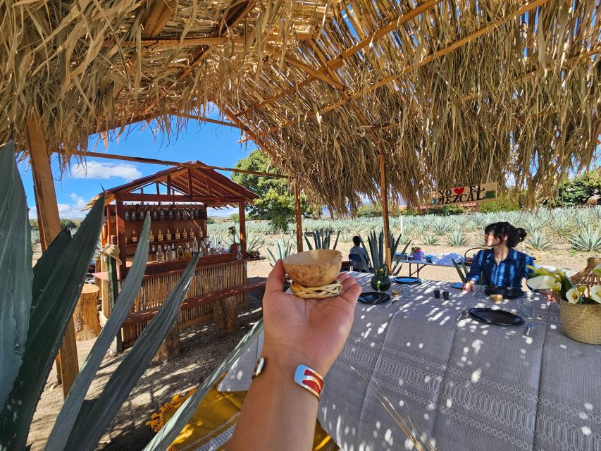Mezcal Day Premium Family Distilleries Tour With Lunch - Optional Flavored Mezcal