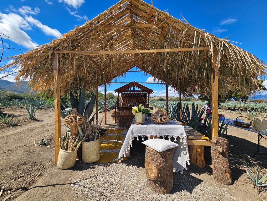 Mezcal Day Premium Family Distilleries Tour With Lunch - Frequently Asked Questions