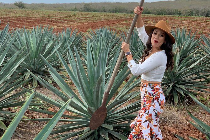 Mezcal Food Tasting Tour with Lunch Included - Exploring the Mezcal Food Tasting Tour in Mazatlan: An Authentic Sinaloa Experience