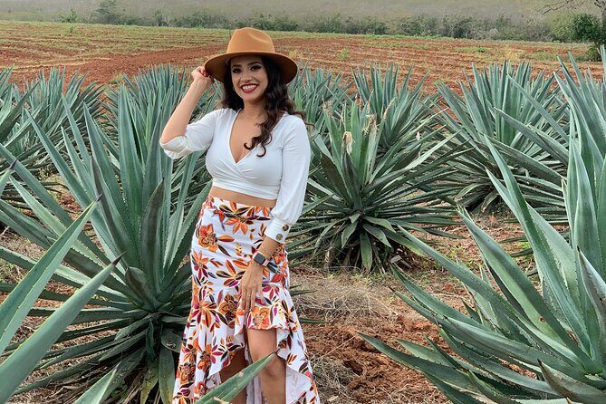 Mezcal Food Tasting Tour with Lunch Included - A Detailed Look at the Mazatlan Mezcal Tour