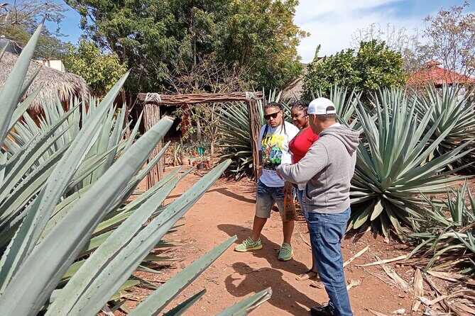 Mezcal Food Tasting Tour with Lunch Included - FAQs