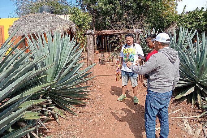Mezcal Food Tasting Tour with Lunch Included - Final Thoughts