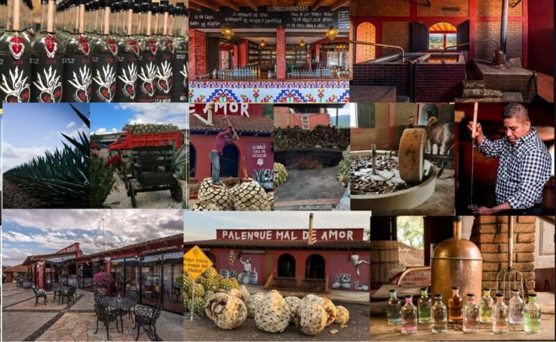 Mezcal Oaxaca: Tour, Gastronomy and Mezcal Tasting - Key Points