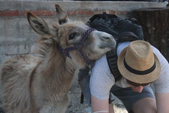 Mezcal Tour Oaxaca - Final Thoughts
