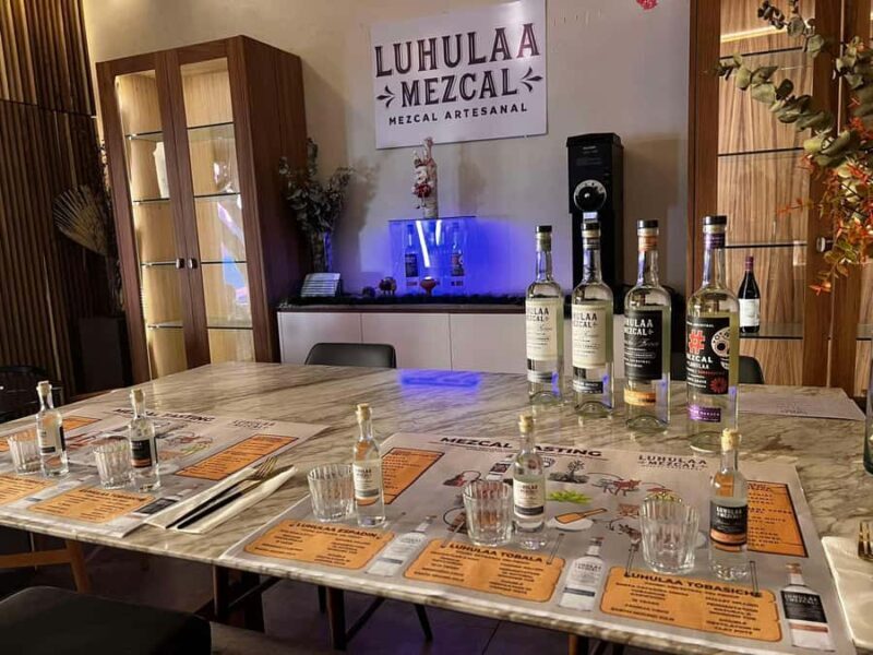 Mezcales tradicionales: Experiencia de Sabores con Historia - Introduction: Why This Tasting Experience Stands Out