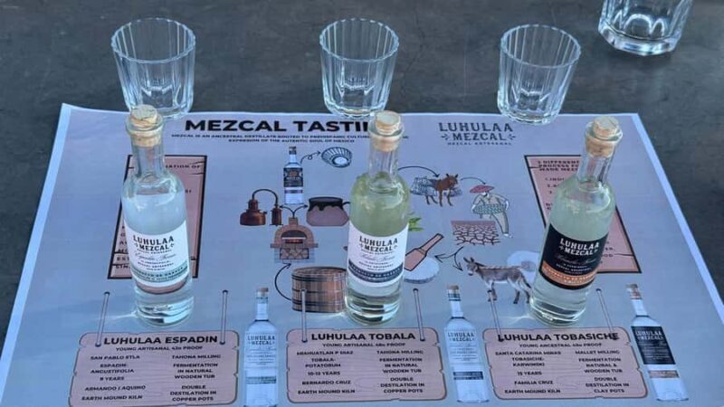 Mezcales tradicionales: Experiencia de Sabores con Historia - Accessibility and Practical Details