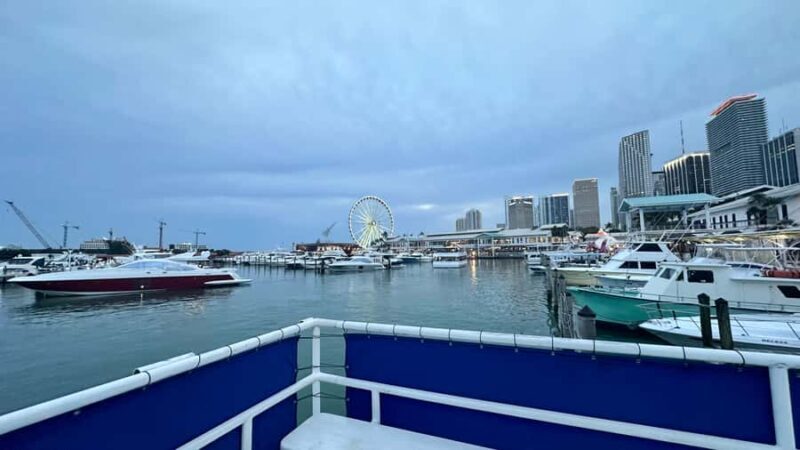 Miami: 3 in 1 Everglades, City & water experience (2 days) - Authentic Experiences and Practical Details