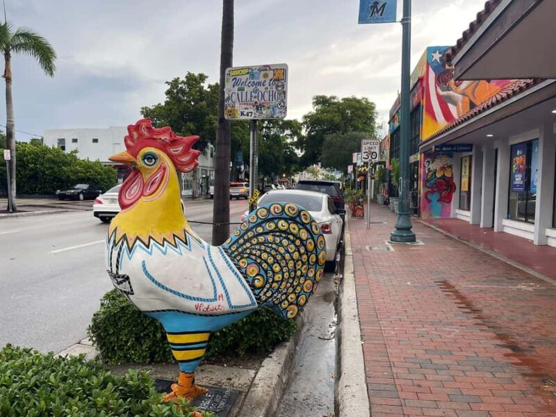 Miami: 5-in-1 City Tour and Biscayne Bay Boat Cruise - Who Will Love This Tour?