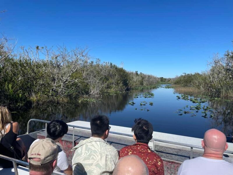 Miami: Alligator Spotting Airboat and Wildlife Reserve - What the Reviews Tell Us