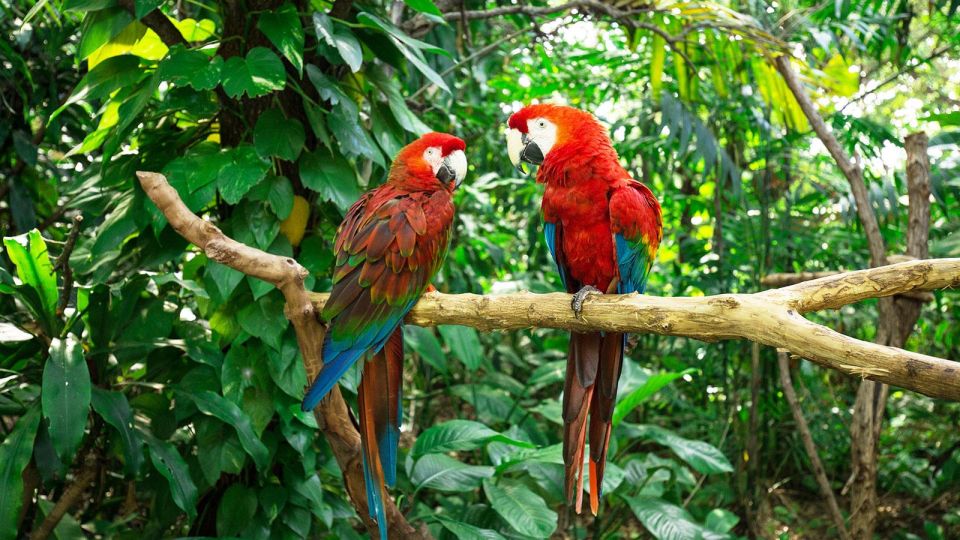 Miami Audioguide - Travelmate App for Your Smartphone - Cuisine and Culture