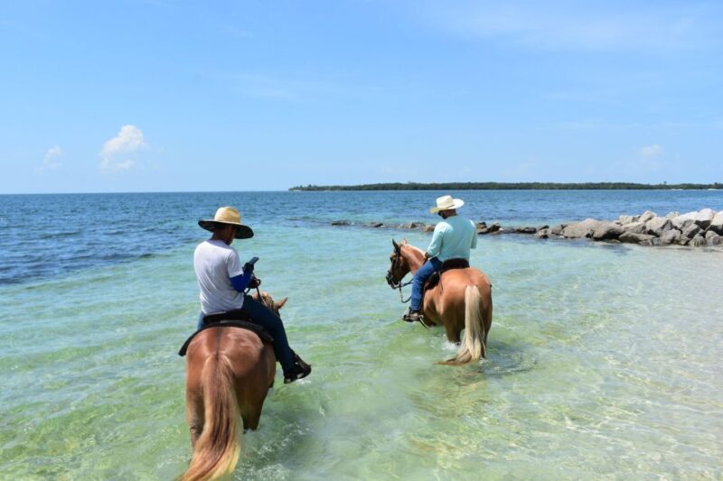 Miami: Beach Horse Ride & Nature Trail - An Introduction to the Horseback Experience in Miami