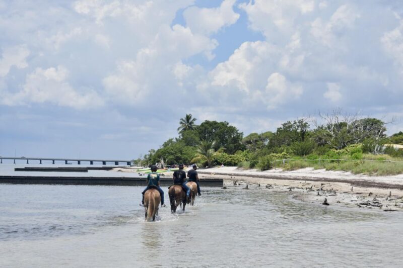 Miami: Beach Horse Ride & Nature Trail - The Value and Practical Considerations