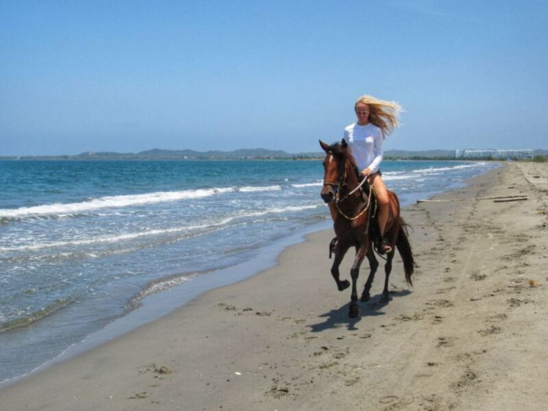 Miami: Beach Horse Ride & Nature Trail - The Sum Up: Who Will Love This Experience?