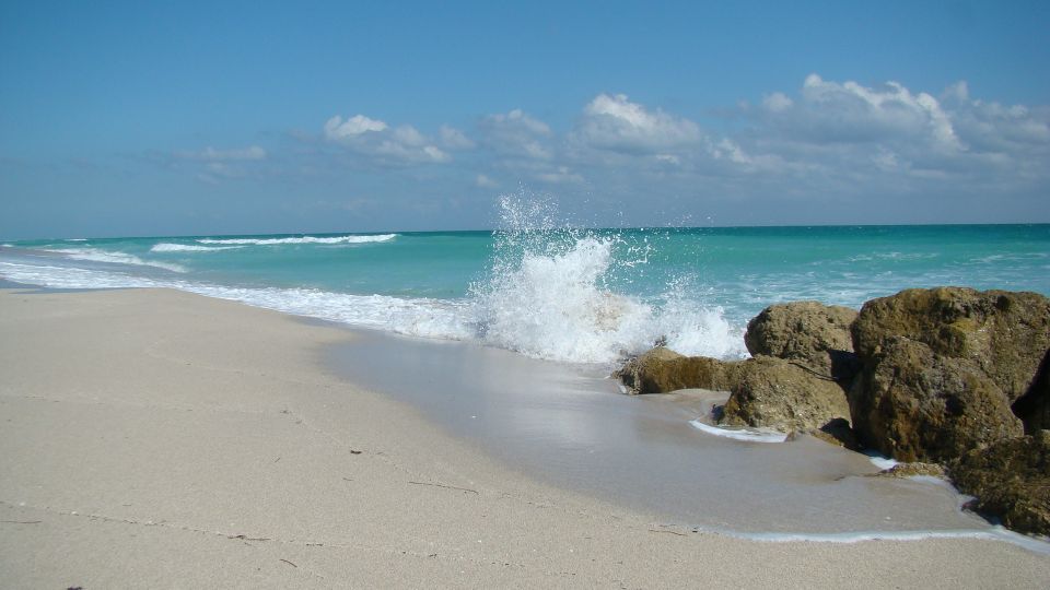 Miami: Beach Wedding or Renewal of Vows - Customer Reviews
