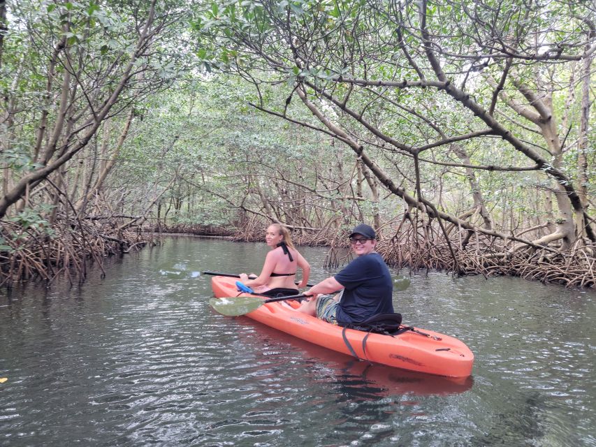 Miami: Beginner-Friendly Island Snorkeling by SUP or Kayak - Activities Included