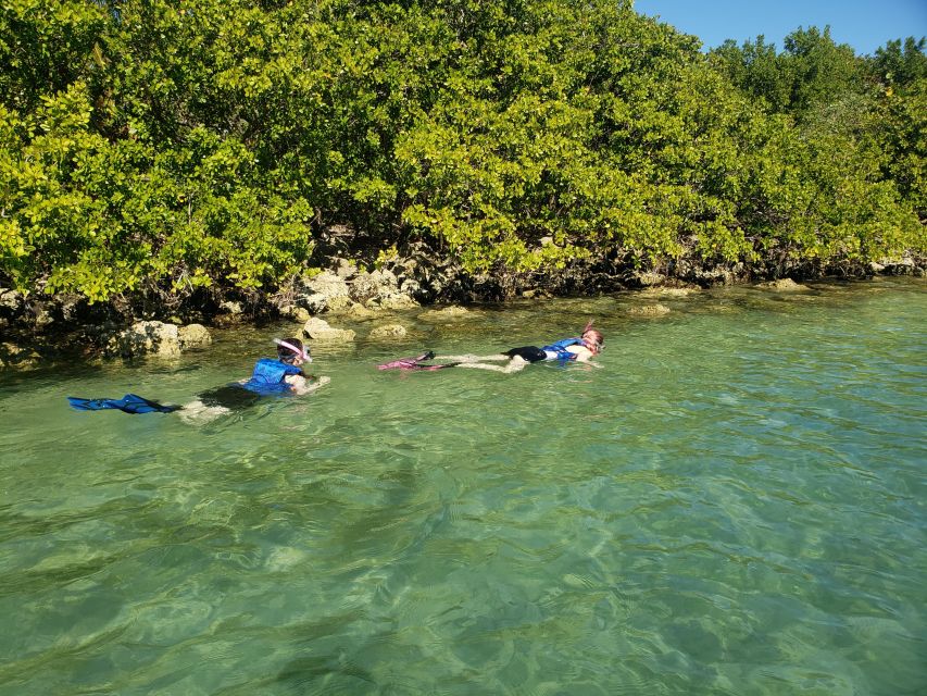 Miami: Beginner-Friendly Island Snorkeling by SUP or Kayak - Paddling Through Mangrove Jungle