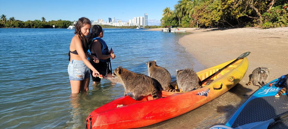 Miami: Beginner-Friendly Island Snorkeling by SUP or Kayak - Snorkeling Around the Island