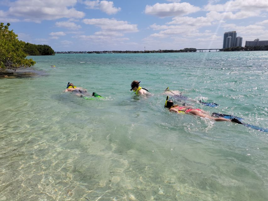 Miami: Beginner-Friendly Island Snorkeling by SUP or Kayak - Unlimited Drinks and Snacks
