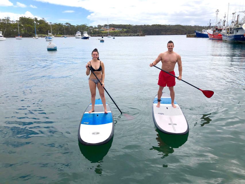 Miami: Biscayne Bay Kayak or Paddleboard Rental - Meeting Point and Location