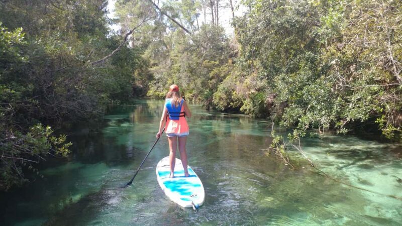 Miami: Biscayne Bay Ultimate Boat Tour with Kayak Experience - What Makes This Tour Stand Out?