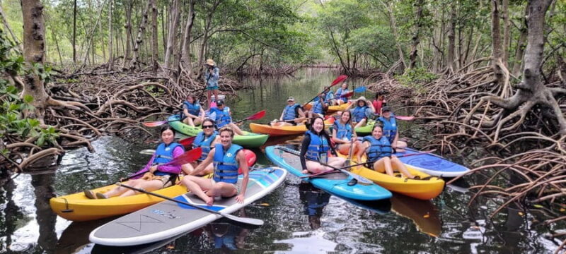 Miami: Biscayne Bay Ultimate Boat Tour with Kayak Experience - FAQ
