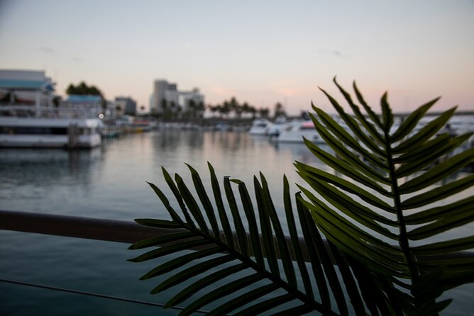 Miami Boat Tour of Celebrity Homes Review - Constructive Guest Feedback