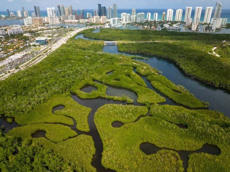 Miami: Clear Kayak Eco Tour with Guide and Wildlife - The Sum Up