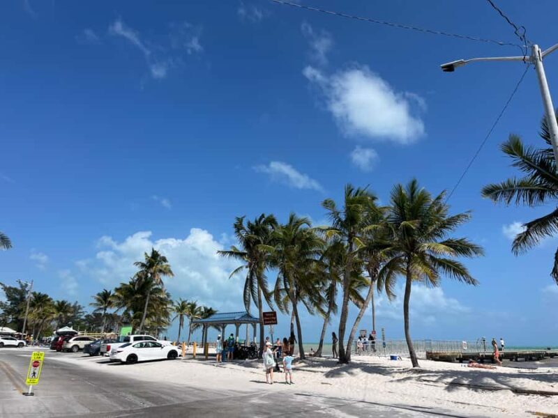 Miami: Day Tour of the Keys in a Convertible Mustang (French) - Who Would Love This Tour?