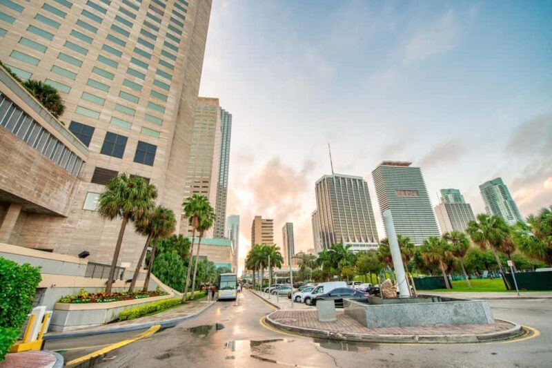 Miami Downtown Highlights Private Guided Walking Tour - Practical Tips for Your Tour
