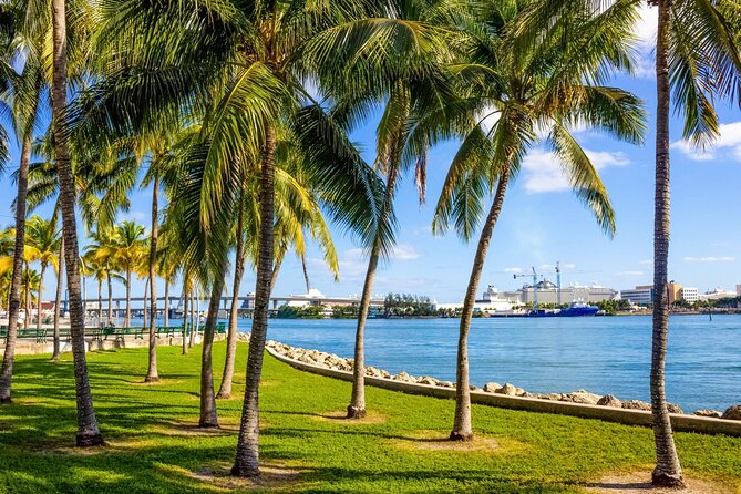 Miami Downtown Highlights Private Guided Walking Tour - Accessibility and Participation