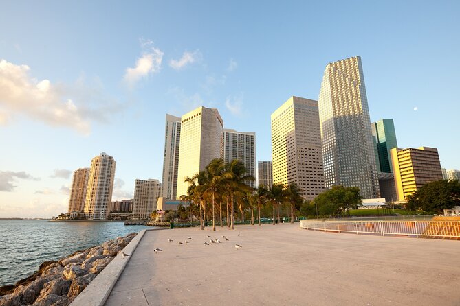 Miami Downtown Highlights Private Guided Walking Tour - Tour Details