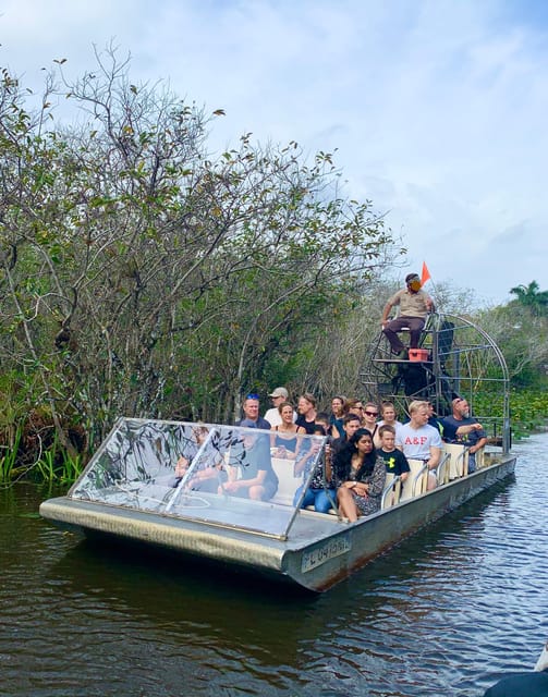 Miami: Everglades Airboat, Photo & Gator Experience | Travel Buddies
