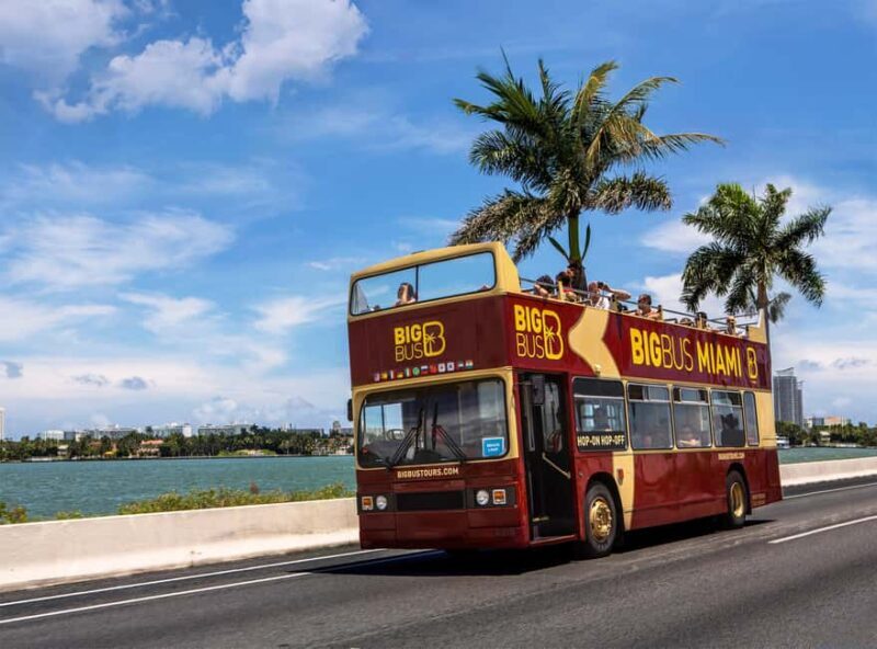 Miami: Everglades Experience, Bay Cruise & Open-Top Bus Tour - Authentic Insights from Travelers