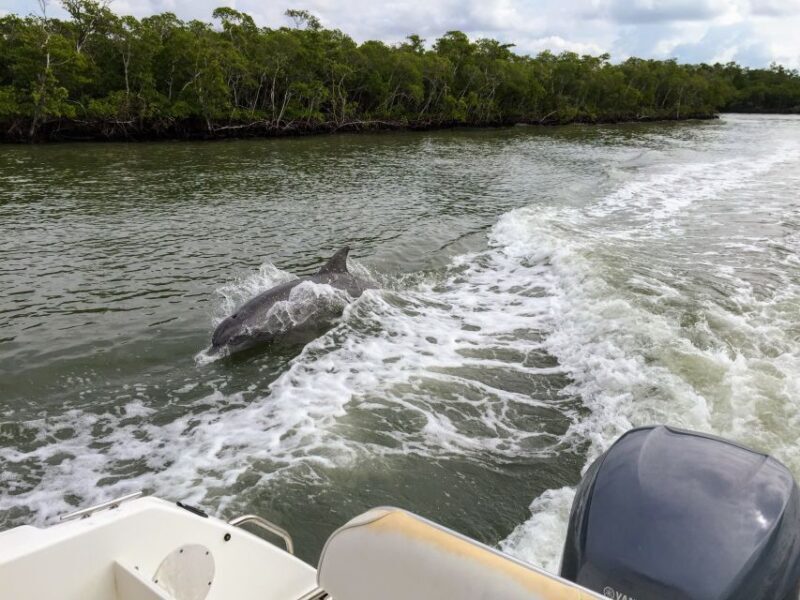 Miami: Everglades Full-Day Tour with 2 Boat Trips and Lunch - Who Will This Tour Suit Best?