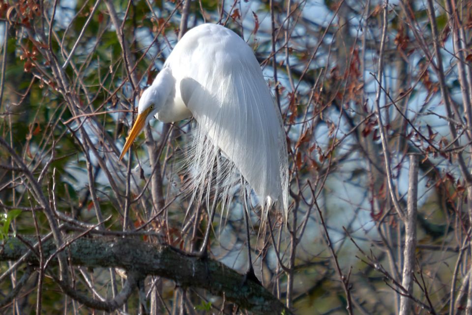 Miami: Everglades Full-Day Tour With 2 Boat Trips and Lunch - Accessibility