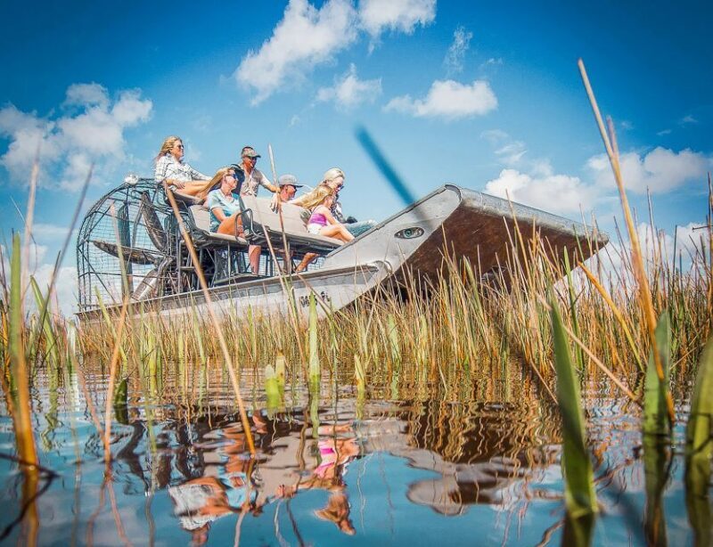 Miami: Everglades National Park Airboat Tour & Wildlife Show - The Itinerary: What to Expect