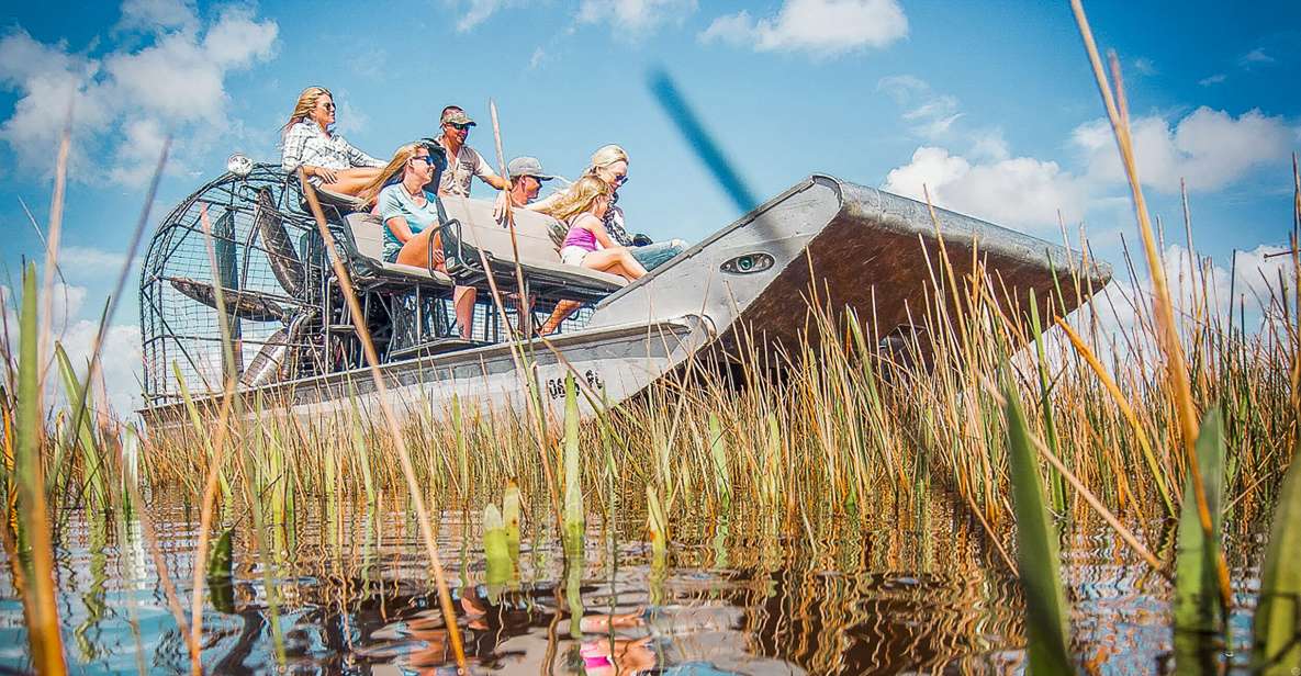 Miami: Everglades National Park Airboat Tour & Wildlife Show - Spotting Alligators and Wildlife