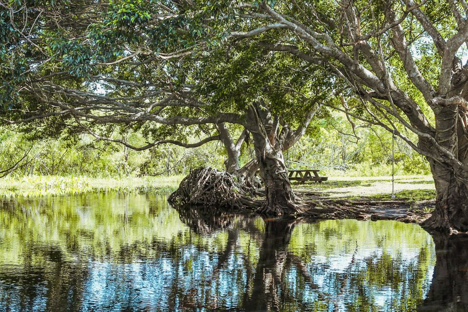 Miami: Everglades National Park Airboat Tour & Wildlife Show - Tour Duration and Availability