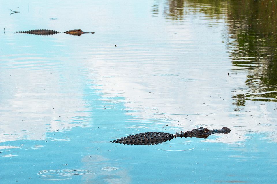 Miami: Everglades National Park Airboat Tour & Wildlife Show - Additional Tour Information