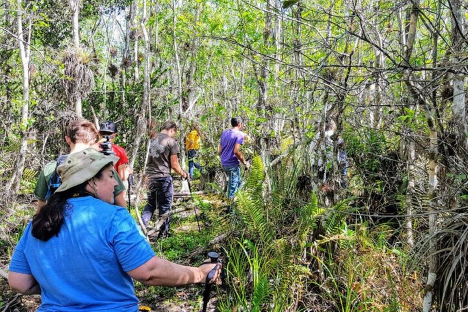 Miami: Everglades National Park Hiking and Kayaking Day Trip - Key Points