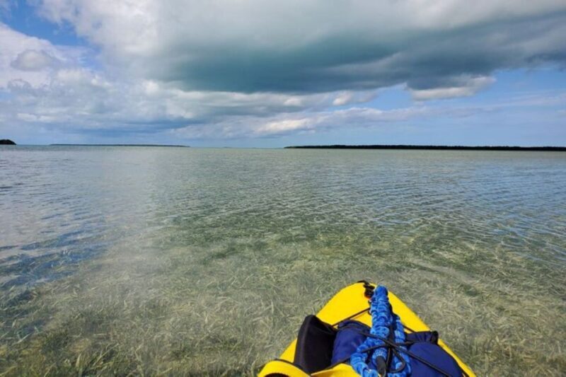 Miami: Everglades National Park Hiking and Kayaking Day Trip - Final Thoughts