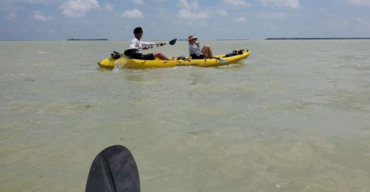 Miami: Everglades National Park Hiking and Kayaking Day Trip - Booking Information