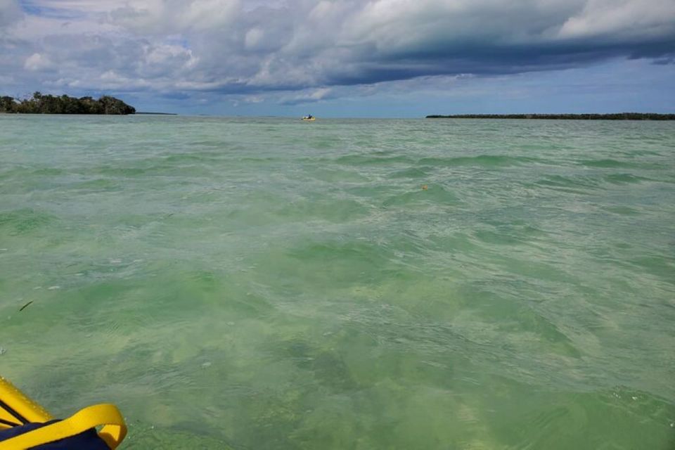 Miami: Everglades National Park Hiking and Kayaking Day Trip - Included Amenities