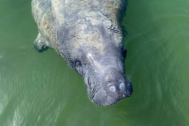 Miami: Everglades National Park Kayaking & Hiking Tour - Key Points